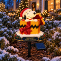 SPNY PREMIUM CHRISTMAS SOLAR GARDEN LIGHTS SET HQH
